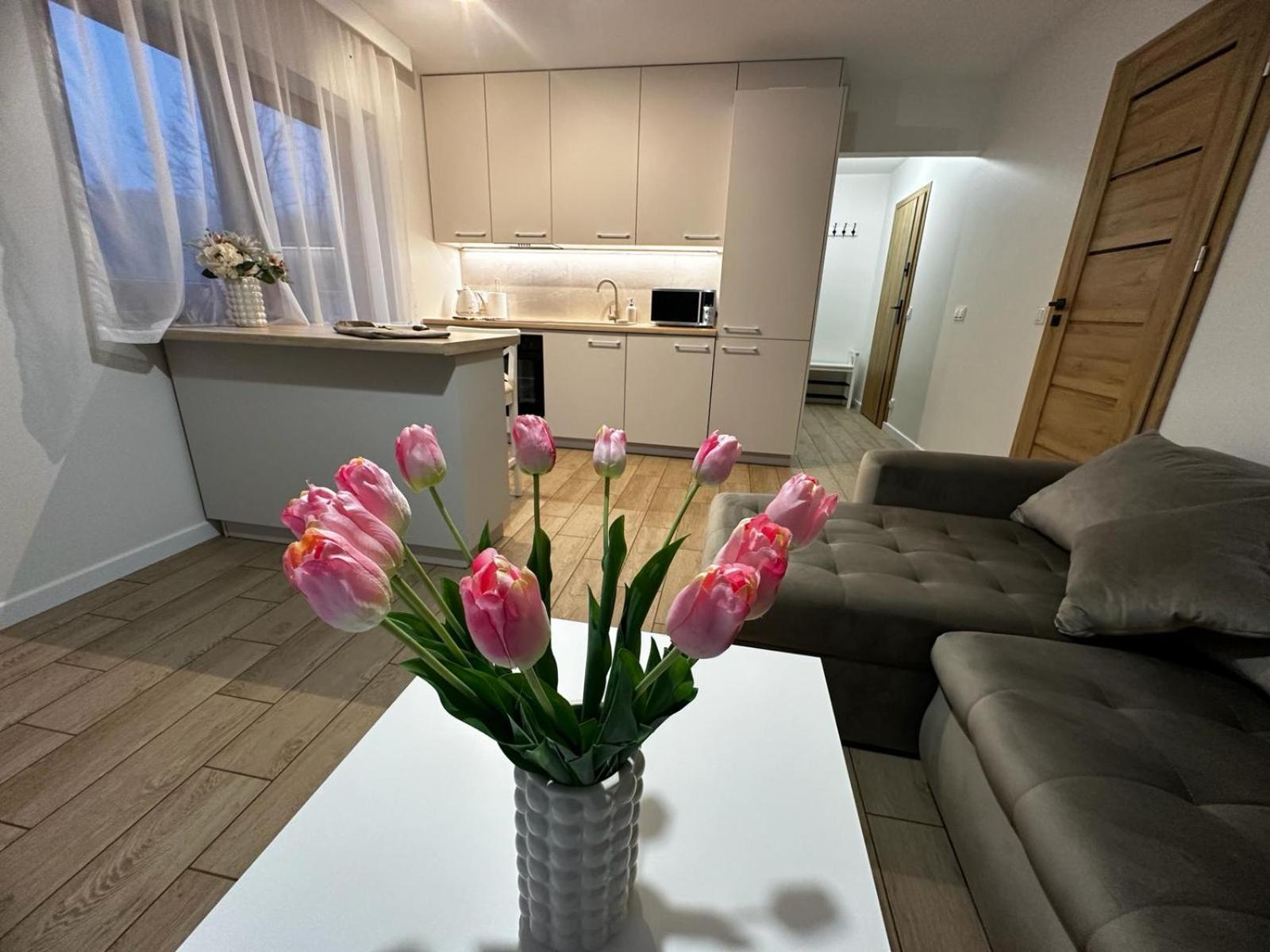 Apartamenty Biala Gran Закопане Екстериор снимка
