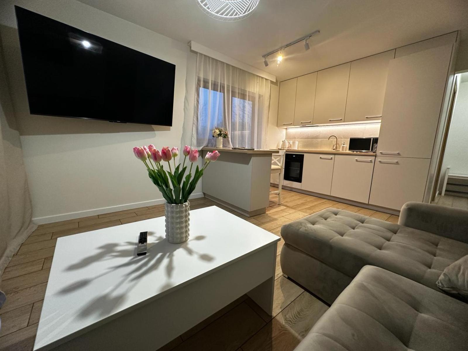 Apartamenty Biala Gran Закопане Екстериор снимка